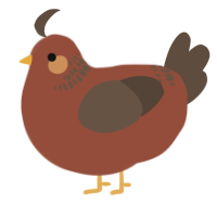 A russet and bark chicken with a neck-band pattern