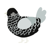 A black and silver chicken with a lace pattern