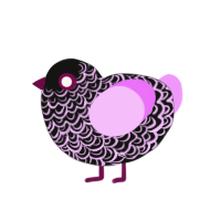 Teenage angst, a black and lavender chicken with a double-lace pattern