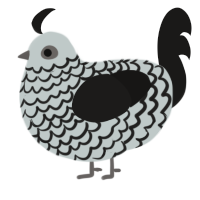 A silver and sable chicken with a lace pattern