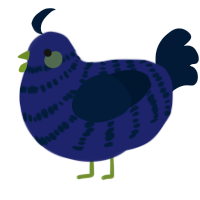 A navy and tumblr chicken with a bar pattern