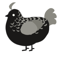 A sable and ash chicken with a half-lace pattern
