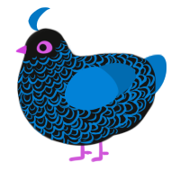 Nite, a black and sapphire chicken with a double-lace pattern