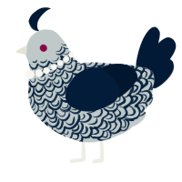A silver and tumblr chicken with a double-lace pattern