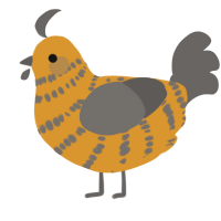 A orange and grey chicken with a bar pattern