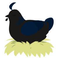 A sable and tumblr chicken with a neck-band pattern
