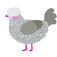 A mist and ash chicken with a double-lace pattern