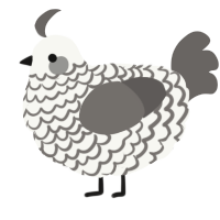 A white and grey chicken with a lace pattern