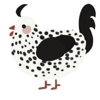 A white and sable chicken with a speckle pattern