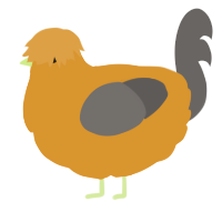 A orange and grey chicken