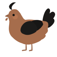 A brown and sable chicken