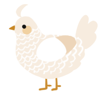 A cream chicken with a lace pattern