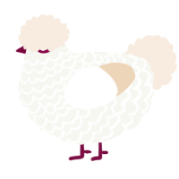 A white and cream chicken with a lace pattern