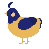 A honey and navy chicken with a head pattern