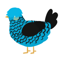 A cerulean and black chicken with a lace pattern