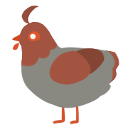 A ash and russet chicken with a head pattern