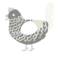 A ash and white chicken with a lace pattern