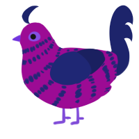 A plum and navy chicken with a bar pattern