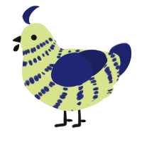 A lemon and navy chicken with a bar pattern
