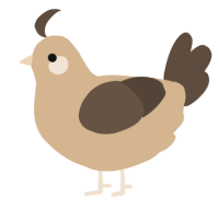 A beige and bark chicken