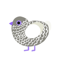 Snowy, a ash and white chicken with a lace pattern