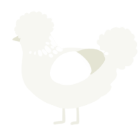 A white chicken with a neck-speckle pattern