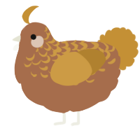 A brown and gold chicken with a half-lace pattern