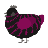 A sable and wine chicken with a bar pattern