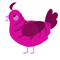 A fuchsia and wine chicken with a half-bar pattern