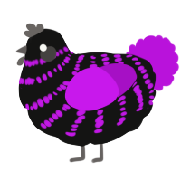 A black and amethyst chicken with a bar pattern