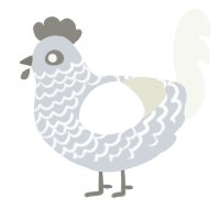 A mist and white chicken with a lace pattern