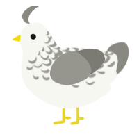 A white and ash chicken with a half-lace pattern