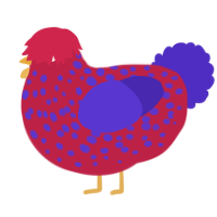 A crimson and indigo chicken with a speckle pattern