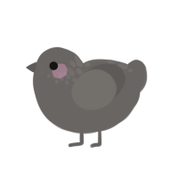 A grey chicken with a neck-speckle pattern