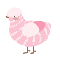 A rose chicken with a bar pattern