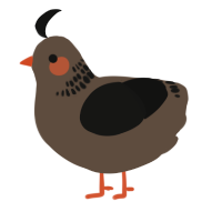 A bark and black chicken with a neck-band pattern