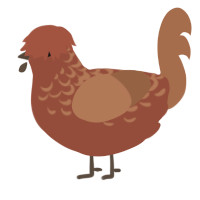 A russet and brown chicken with a half-lace pattern