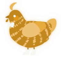 A ochre and honey chicken with a bar pattern