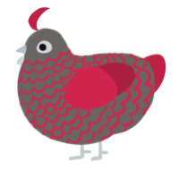 A grey and crimson chicken with a lace pattern