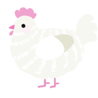 A white chicken with a bar pattern