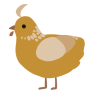 A gold and beige chicken with a neck-speckle pattern