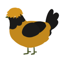 A ochre and sable chicken with a head pattern