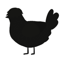A black chicken with a double-lace pattern