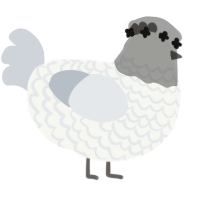A white and mist chicken with a lace pattern