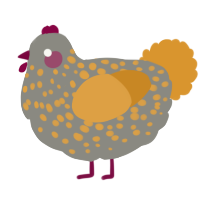 A ash and orange chicken with a speckle pattern