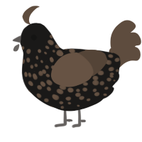 (unnamed), a sable and bark chicken with a speckle pattern