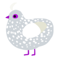 Moth, a mist and white chicken with a speckle pattern