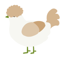 A white and beige chicken