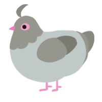 A silver and ash chicken with a head pattern