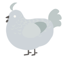 A mist and silver chicken with a half-lace pattern